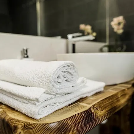 Na Zrabku Pod Gubalowka 木屋 扎科帕内