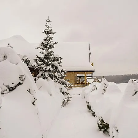 Na Zrąbku Pod Gubałówką * Zakopane